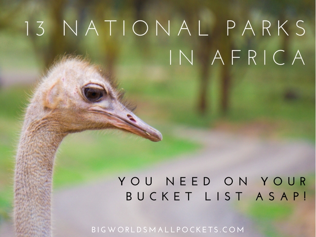 The 13 National Parks in Africa You Need on Your Bucket List ASAP!