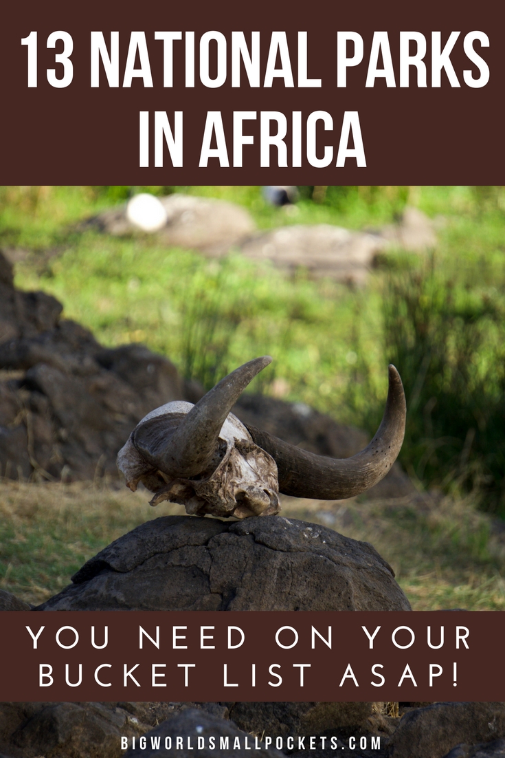 The 13 National Parks in Africa You Have to Visit {Big World Small Pockets}