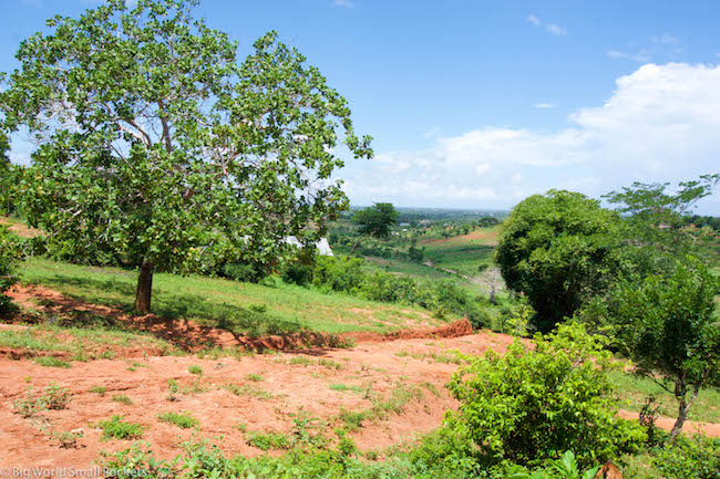 Africa, Rwanda, Landscape