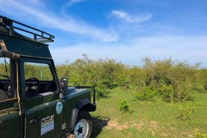Safari Insurance : Why I Chose Travel Insurance from World Nomads