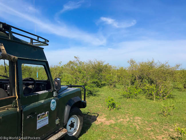 Keňa, Masai Mara Safari