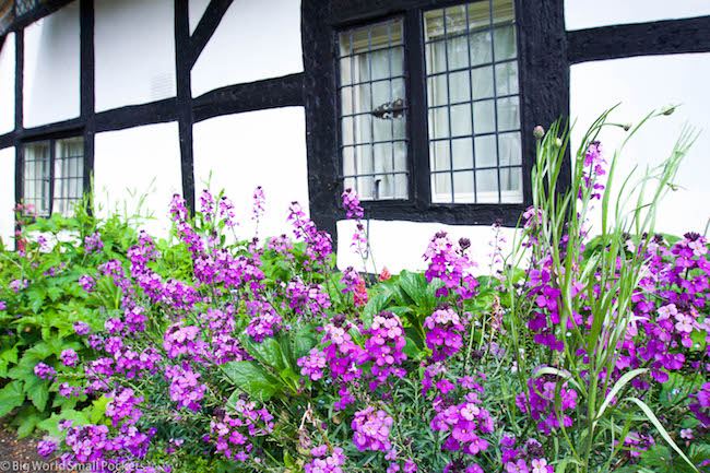 UK, Cotswolds, Cottage Flowers