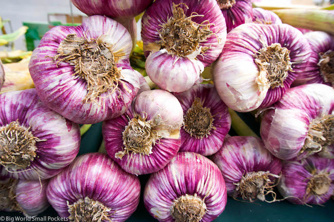 UK, Cotswolds, Garlic