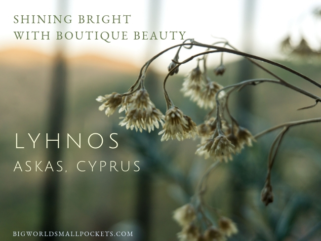 Shining Bright with Boutique Beauty - Lyhnos, Askas, Cyprus