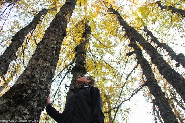 Lebanon, Aakkar, Me in Trees