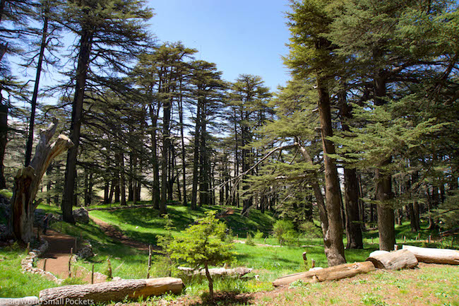 Lebanon, Cedars, Landscape