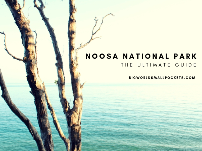 Australia, Queensland, Noosa National Park