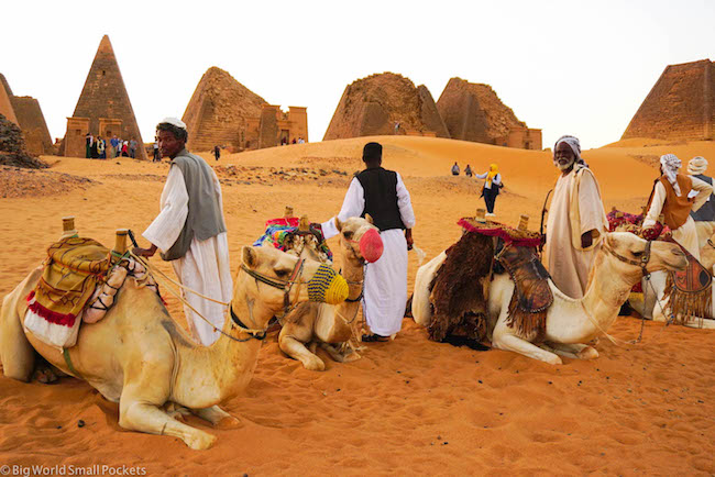 Sudan. Meroe, Camels