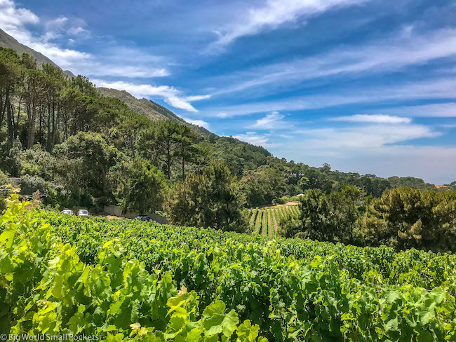 South Africa, Cape Town, Constantia