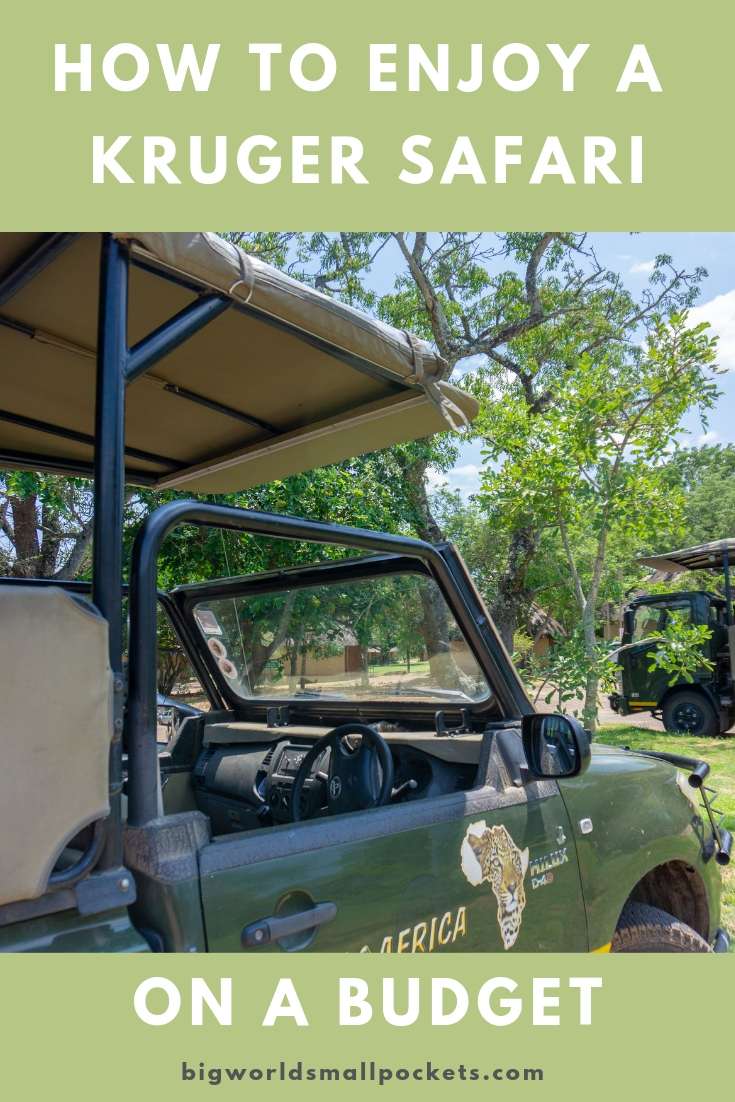 How to Enjoy a Kruger National Park Safari for Cheap! {Big World Small Pockets}