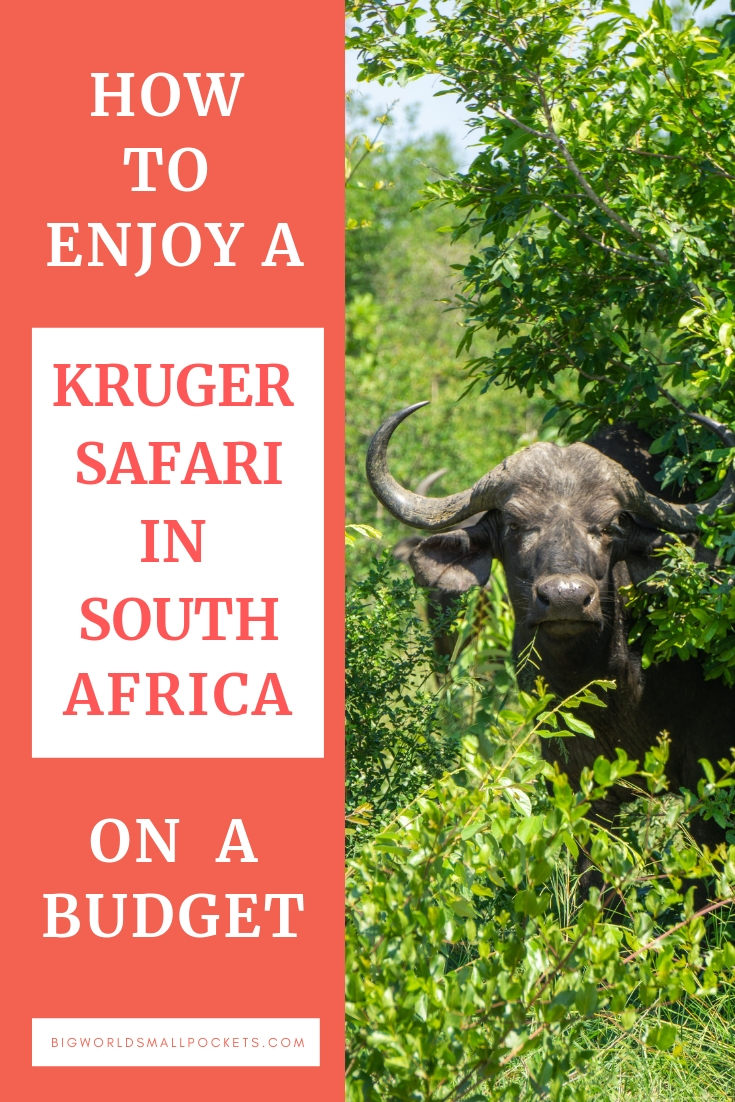 How to Enjoy a Kruger National Park Safari on a Budget! {Big World Small Pockets}