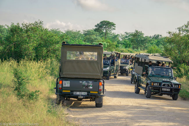 South Africa, Kruger, Safari