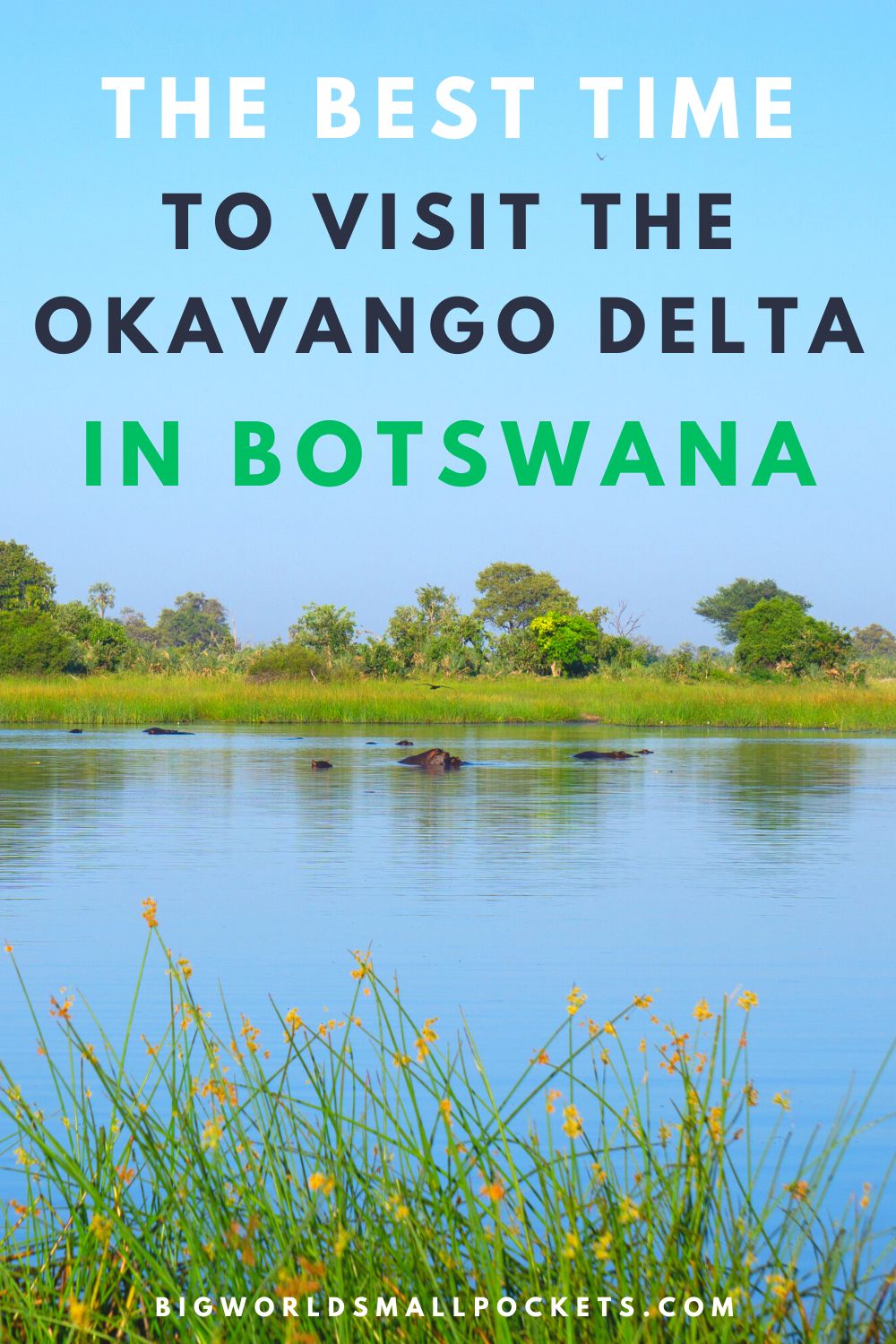 The Best Time to Visit Okavango Delta, Botswana