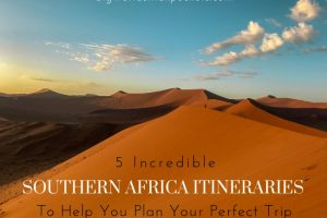 5 Epic Southern Africa Itineraries to Help You Plan Your Perfect Trip