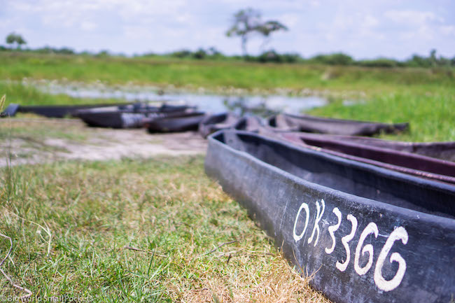 Botswana, Okavango Delta, Canoe