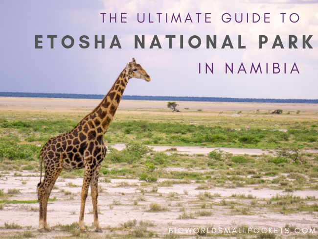 Etosha National Park Guide