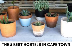 5 Best Hostels in Cape Town
