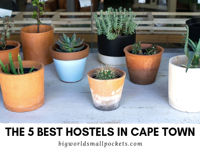 The 5 Best Hostels in Cape Town