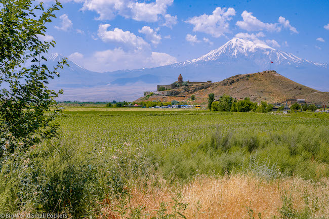 Armenia, Khor Virab, View