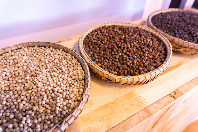 Cambodia, Kampot, Pepper Farm