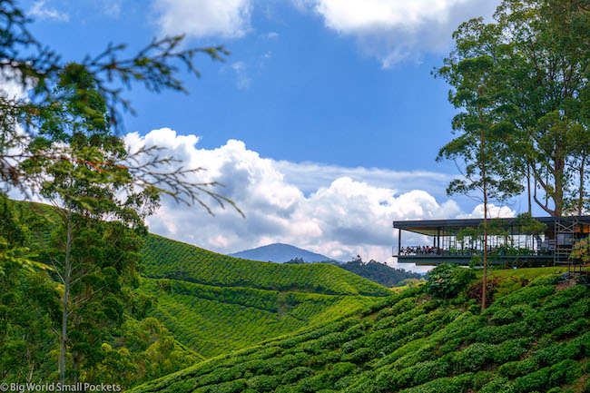 Cameron Highlands, Tea Room, BOH