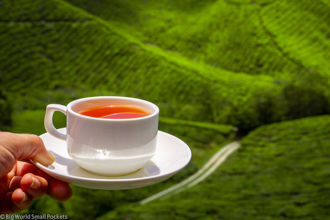 Malaysia, Cameron Highlands, Cup of Tea