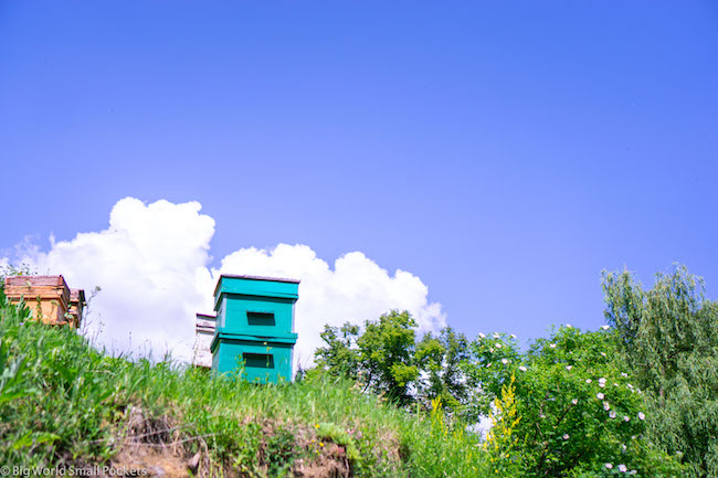 armenia travel blog Armenia, Dilijan, Hives