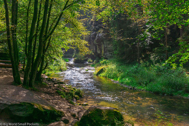 Czech Republic, Bohemian Switzerland, Forest