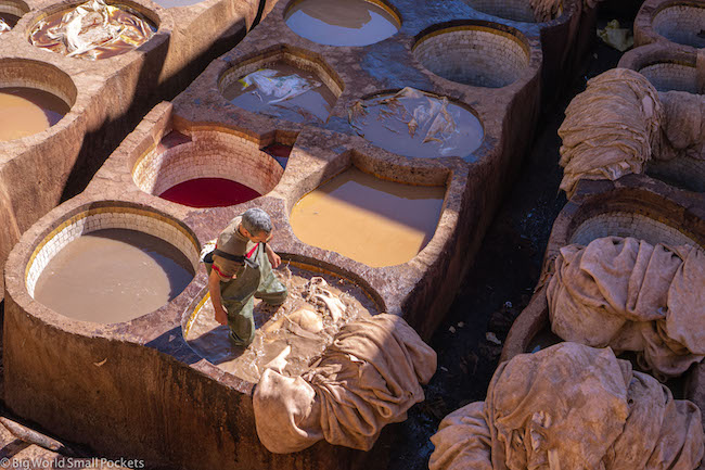 Morocco, Fez, Tannery