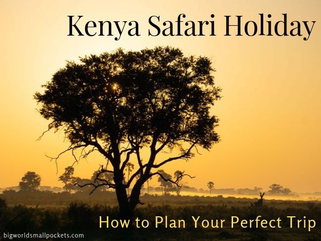 Kenya Safari Holidays