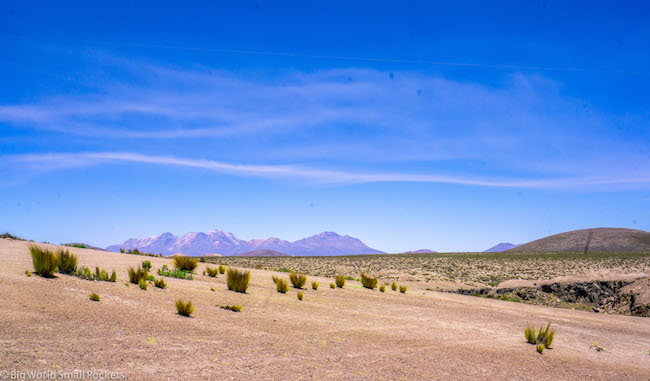 Peru, Arequipa, Reserva Salinas y Aguada Blanca