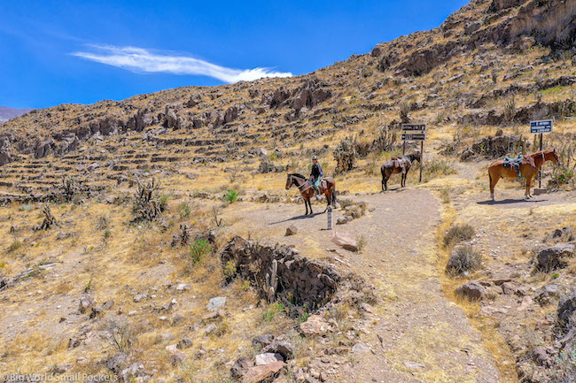 Perú, Tour al Cañón del Colca, Paseos a caballo