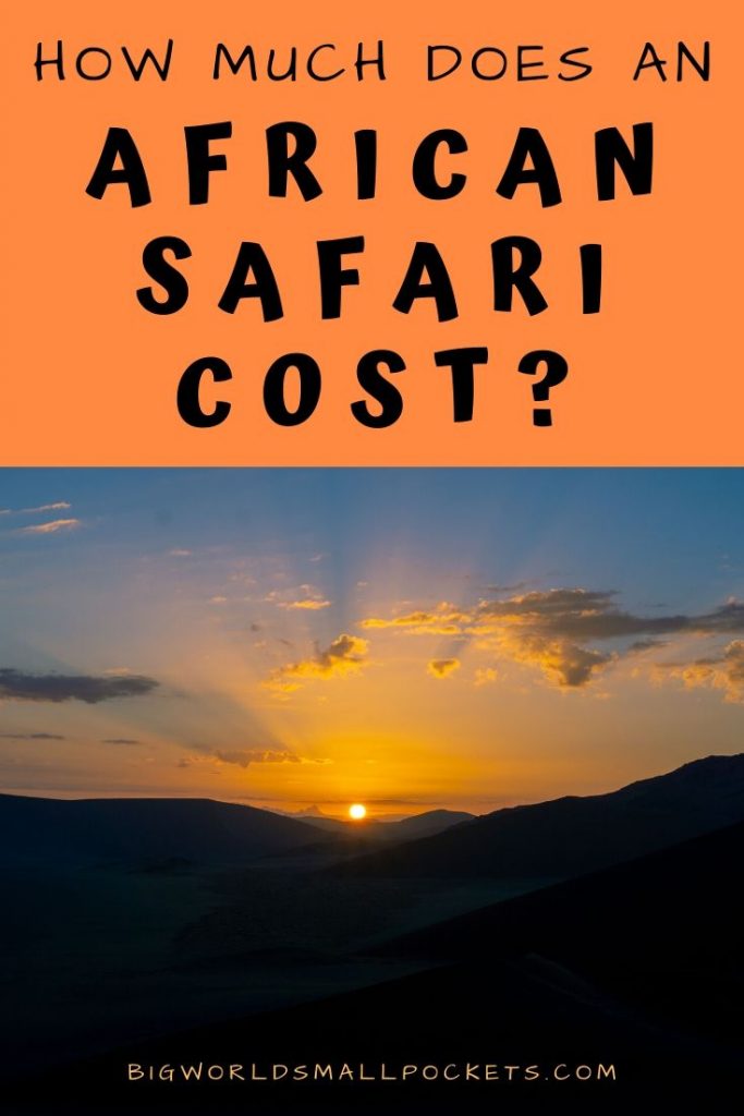 How Much Does an Africa Safari Cost?