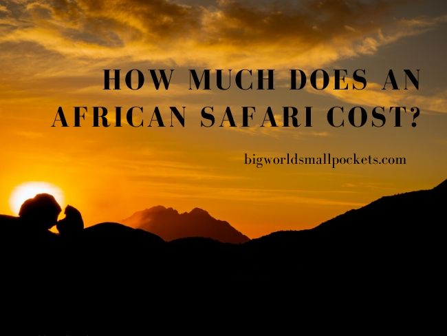 How Much Does an African Safari Cost?