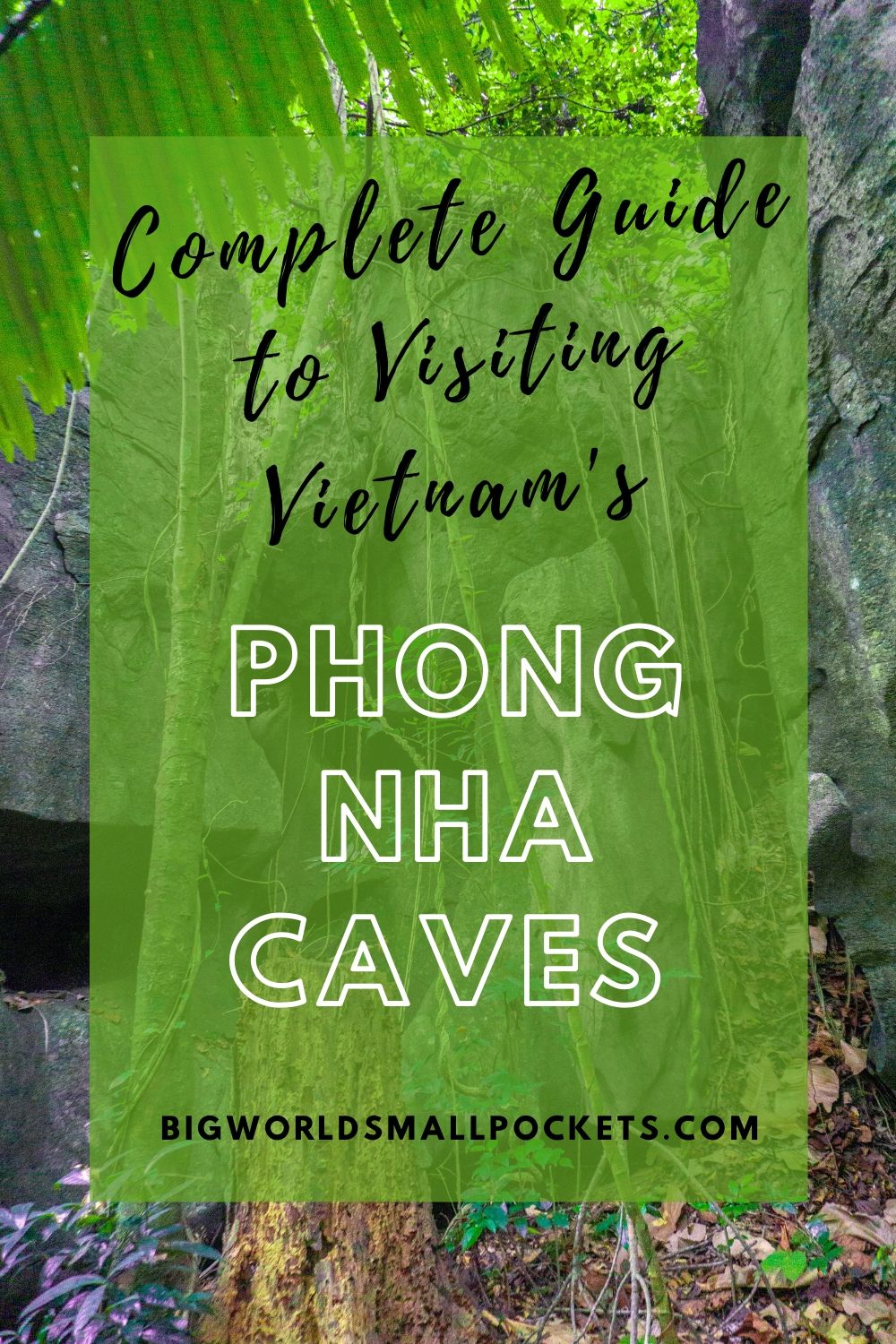 Complete Guide to Visiting Phong Nha Caves in Vietnam