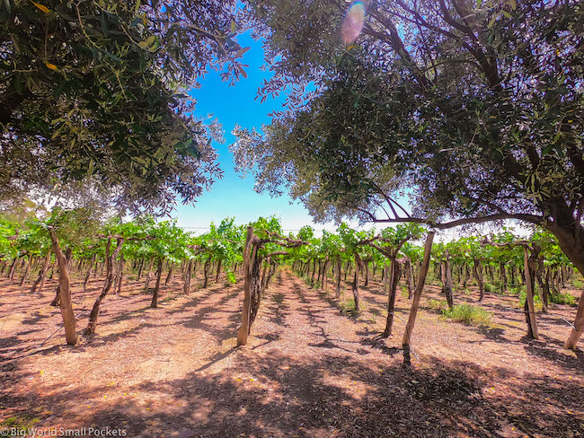 Argentina, Cafayate, Winery