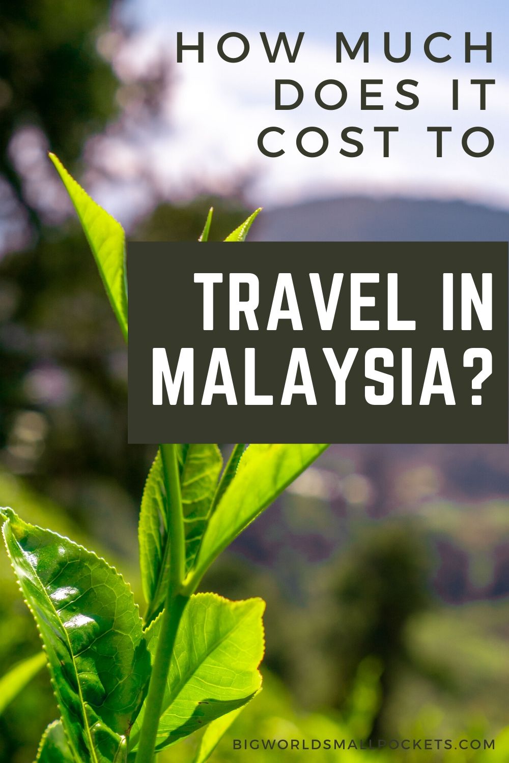 How Much Does it Cost to Travel Malaysia?