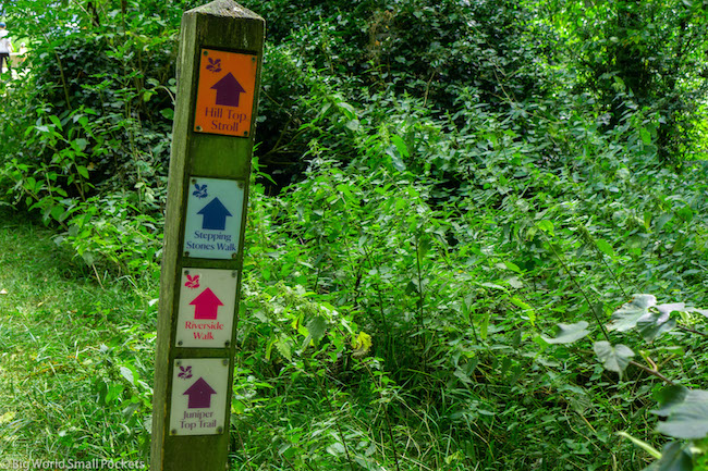 England, Box Hill, Trail Signs