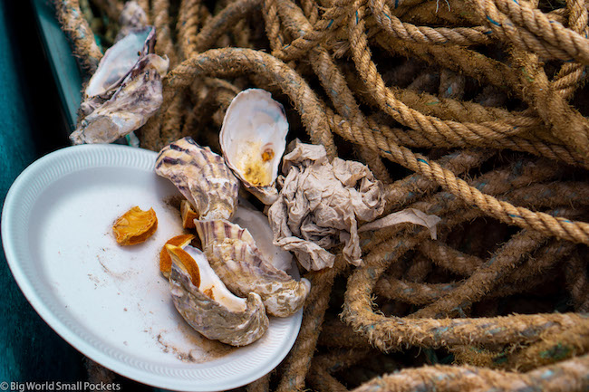 England, Whitstable, Oysters