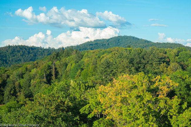 Germany, Freiburg, Green Landscape