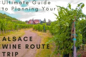 Full Guide to Planning Your Alsace Wine Route Trip
