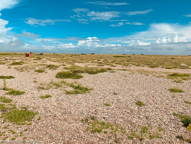 England, Kent, Dungeness