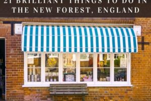 21 Brilliant Things to Do in the New Forest