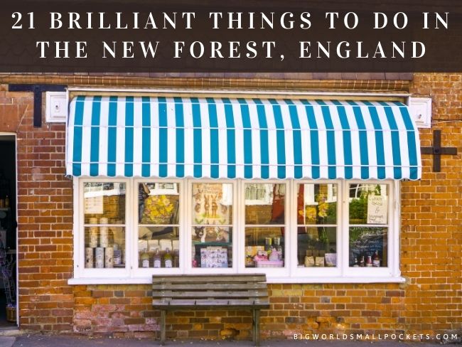 21 Brilliant Things to Do in the New Forest, England