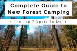 Complete Guide to New Forest Camping + Top 7 Spots
