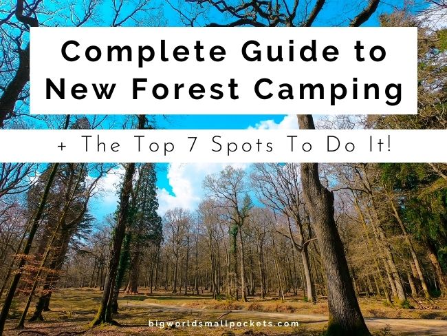 Complete Guide to New Forest Camping + Top 7 Spots