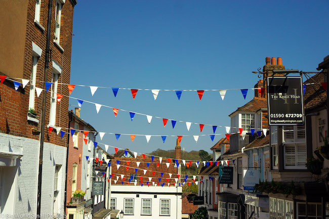 England, New Forest, Bunting