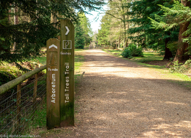 England, New Forest, Tall Trees Trail Sign