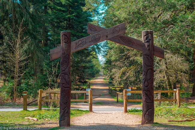 England, New Forest, Walking Trail