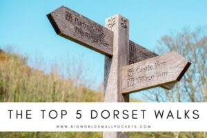 Top 5 Dorset Walks + All You Need to Know to Enjoy Them